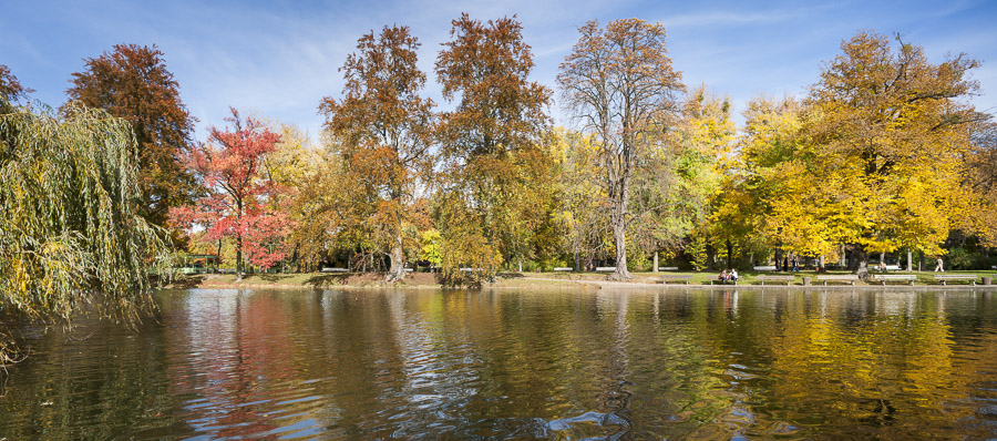 Photographie de paysage d'automne