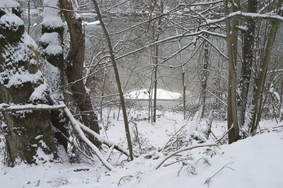 Forêt et rivière sous la neige - Phographe illustration