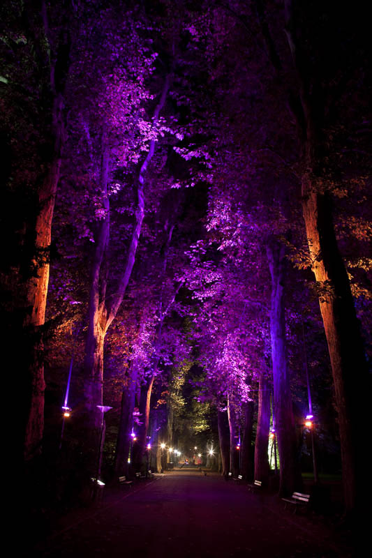 Eclairages Parc de l'Orangerie à Strasbourg - Photographe Eclairage 
