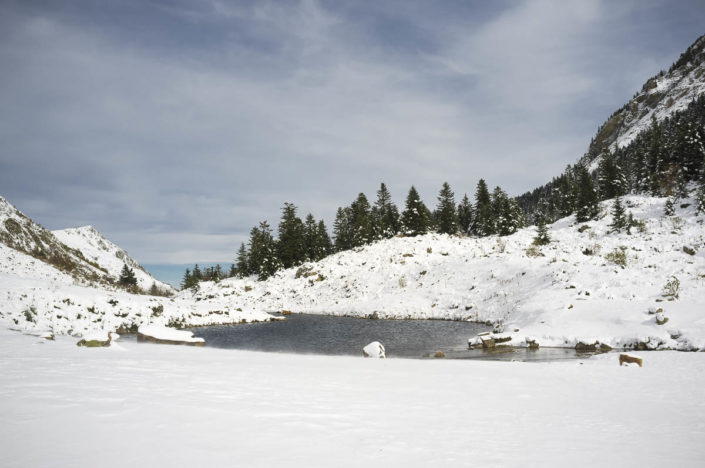  de Jasse du Mourgouillou, Pyrénées ariégeoises. à 