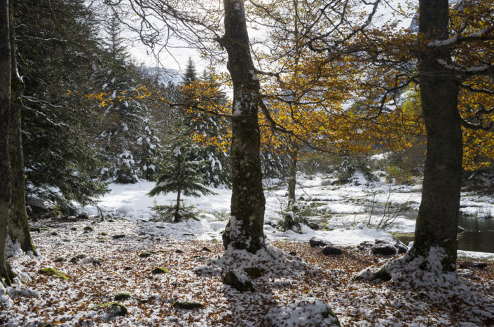  de Jasse du Mourgouillou, Pyrénées ariégeoises. à 