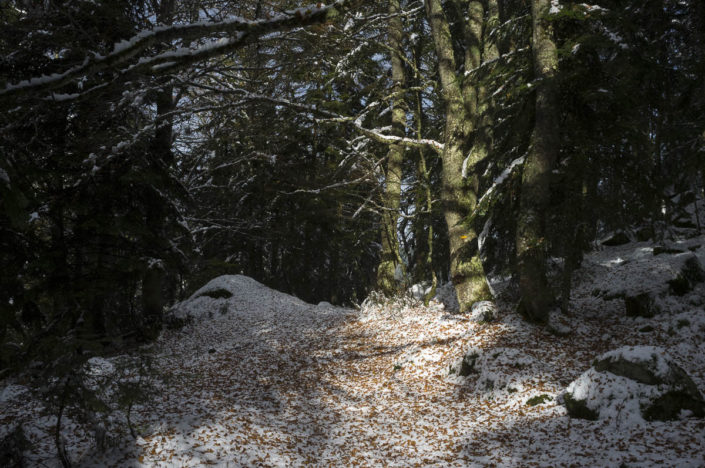  de Jasse du Mourgouillou, Pyrénées ariégeoises. à 