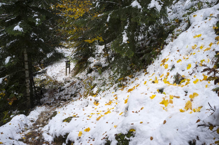  de Jasse du Mourgouillou, Pyrénées ariégeoises. à 